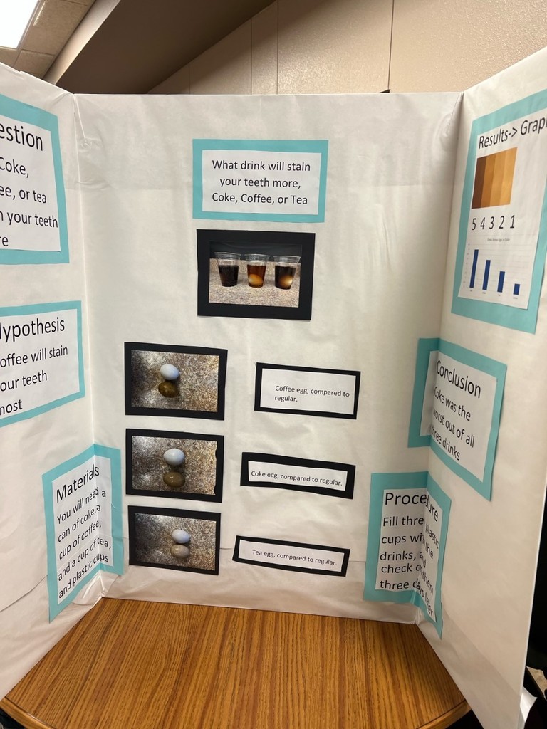 science fair projects